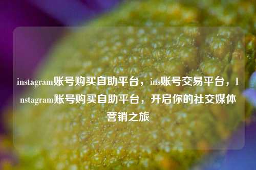instagram账号购买自助平台，ins账号交易平台，Instagram账号购买自助平台，开启你的社交媒体营销之旅