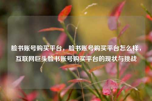 脸书账号购买平台，脸书账号购买平台怎么样，互联网巨头脸书账号购买平台的现状与挑战