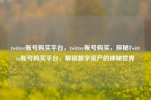 twitter账号购买平台，twitter帐号购买，探秘Twitter账号购买平台，解锁数字资产的神秘世界