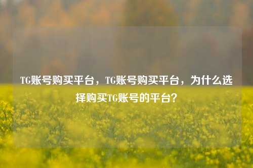 TG账号购买平台，TG账号购买平台，为什么选择购买TG账号的平台？