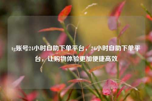 tg账号24小时自助下单平台，24小时自助下单平台	，让购物体验更加便捷高效  第1张