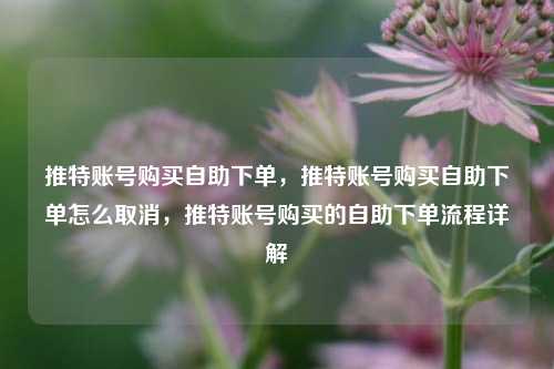 推特账号购买自助下单，推特账号购买自助下单怎么取消，推特账号购买的自助下单流程详解