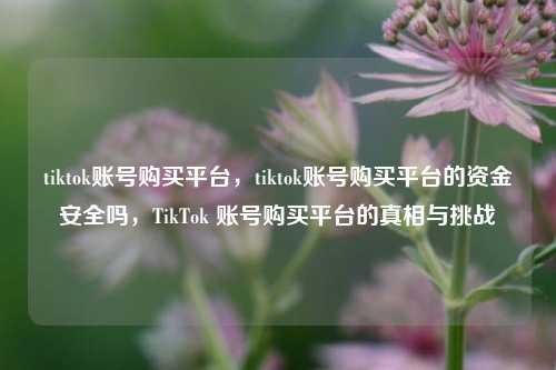 tiktok账号购买平台，tiktok账号购买平台的资金安全吗，TikTok 账号购买平台的真相与挑战