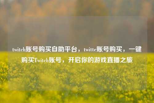 twitch账号购买自助平台，twitte账号购买，一键购买Twitch账号，开启你的游戏直播之旅
