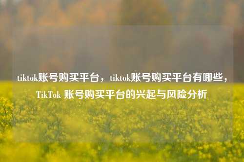 tiktok账号购买平台，tiktok账号购买平台有哪些，TikTok 账号购买平台的兴起与风险分析