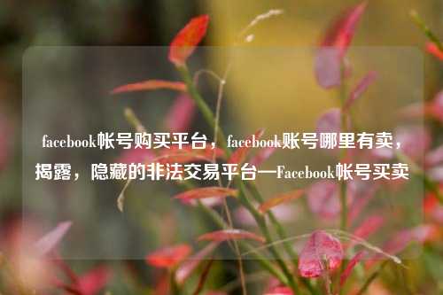 facebook帐号购买平台，facebook账号哪里有卖，揭露，隐藏的非法交易平台—Facebook帐号买卖