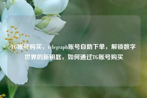 TG账号购买，telegraph账号自助下单，解锁数字世界的新钥匙，如何通过TG账号购买