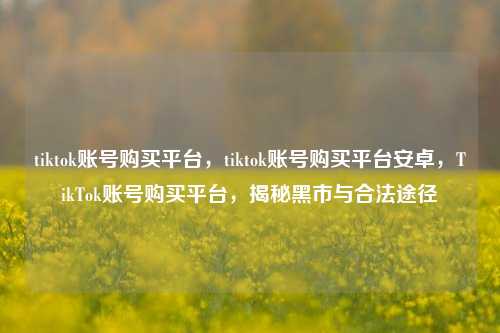 tiktok账号购买平台，tiktok账号购买平台安卓，TikTok账号购买平台，揭秘黑市与合法途径