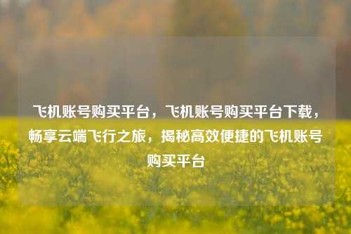 飞机账号购买平台	，飞机账号购买平台下载，畅享云端飞行之旅，揭秘高效便捷的飞机账号购买平台  第1张