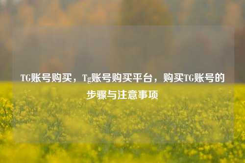 TG账号购买，Tg账号购买平台	，购买TG账号的步骤与注意事项  第1张