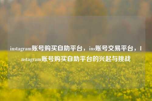 instagram账号购买自助平台，ins账号交易平台，Instagram账号购买自助平台的兴起与挑战