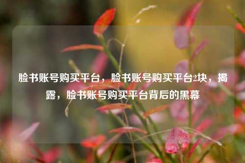 脸书账号购买平台，脸书账号购买平台2块，揭露，脸书账号购买平台背后的黑幕