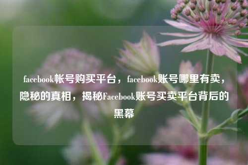 facebook帐号购买平台，facebook账号哪里有卖，隐秘的真相，揭秘Facebook账号买卖平台背后的黑幕