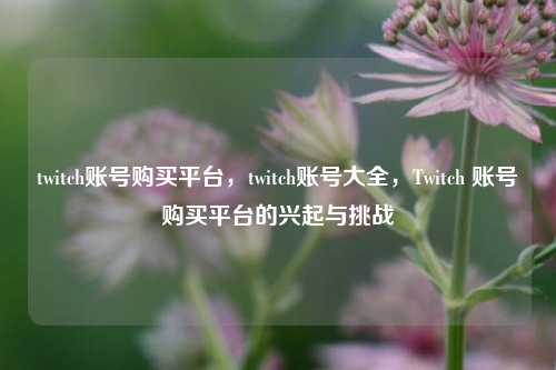 twitch账号购买平台，twitch账号大全，Twitch 账号购买平台的兴起与挑战