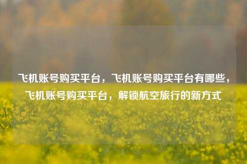 飞机账号购买平台，飞机账号购买平台有哪些，飞机账号购买平台，解锁航空旅行的新方式