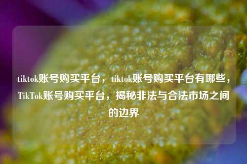tiktok账号购买平台，tiktok账号购买平台有哪些，TikTok账号购买平台，揭秘非法与合法市场之间的边界