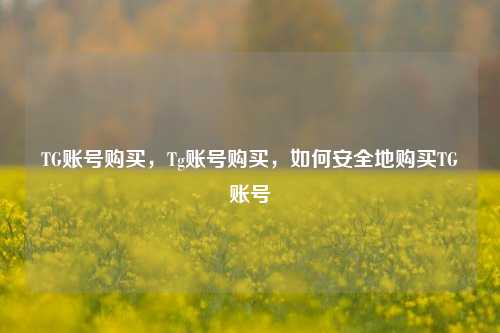 TG账号购买，Tg账号购买，如何安全地购买TG账号