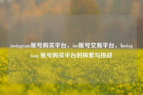 instagram账号购买平台，ins账号交易平台，Instagram 账号购买平台的探索与挑战