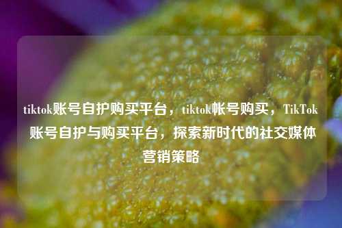 tiktok账号自护购买平台，tiktok帐号购买，TikTok 账号自护与购买平台，探索新时代的社交媒体营销策略