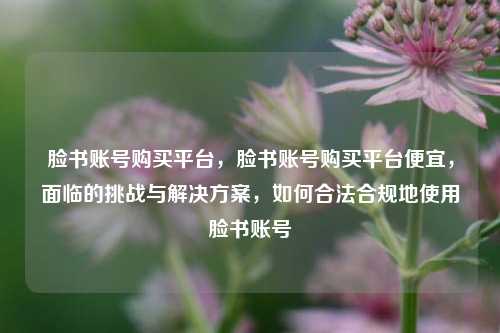脸书账号购买平台，脸书账号购买平台便宜，面临的挑战与解决方案，如何合法合规地使用脸书账号