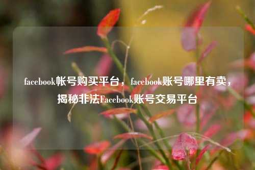 facebook帐号购买平台，facebook账号哪里有卖，揭秘非法Facebook账号交易平台