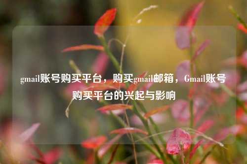 gmail账号购买平台，购买gmail邮箱，Gmail账号购买平台的兴起与影响