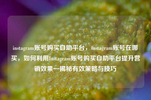 instagram账号购买自助平台，instagram账号在哪买，如何利用Instagram账号购买自助平台提升营销效果—揭秘有效策略与技巧