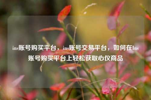 ins账号购买平台，ins账号交易平台，如何在Ins账号购买平台上轻松获取心仪商品