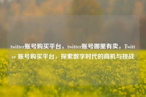 twitter账号购买平台，twitter账号哪里有卖，Twitter 账号购买平台，探索数字时代的商机与挑战