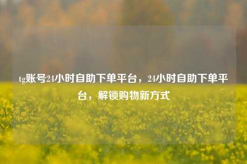 tg账号24小时自助下单平台，24小时自助下单平台，解锁购物新方式