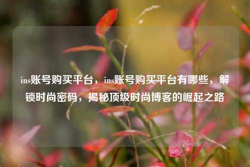 ins账号购买平台	，ins账号购买平台有哪些，解锁时尚密码，揭秘顶级时尚博客的崛起之路  第1张