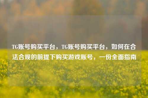 TG账号购买平台，TG账号购买平台，如何在合法合规的前提下购买游戏账号，一份全面指南