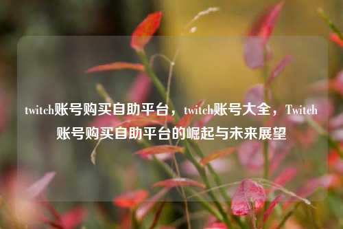 twitch账号购买自助平台，twitch账号大全，Twitch账号购买自助平台的崛起与未来展望