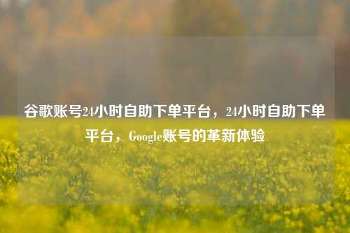 谷歌账号24小时自助下单平台，24小时自助下单平台，Google账号的革新体验