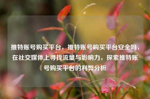 推特账号购买平台，推特账号购买平台安全吗，在社交媒体上寻找流量与影响力，探索推特账号购买平台的利弊分析