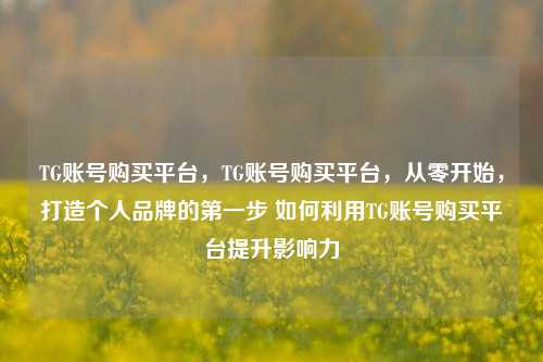 TG账号购买平台，TG账号购买平台，从零开始，打造个人品牌的第一步 如何利用TG账号购买平台提升影响力