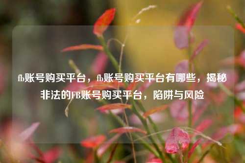 fb账号购买平台，fb账号购买平台有哪些，揭秘非法的FB账号购买平台，陷阱与风险