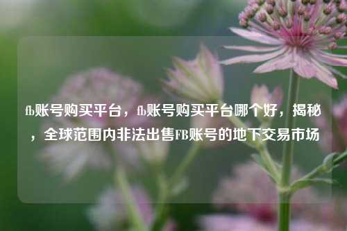 fb账号购买平台，fb账号购买平台哪个好，揭秘，全球范围内非法出售FB账号的地下交易市场