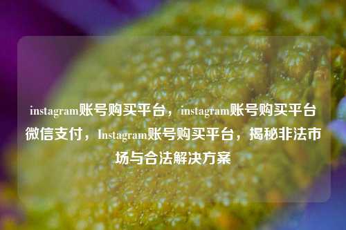 instagram账号购买平台，instagram账号购买平台微信支付，Instagram账号购买平台，揭秘非法市场与合法解决方案