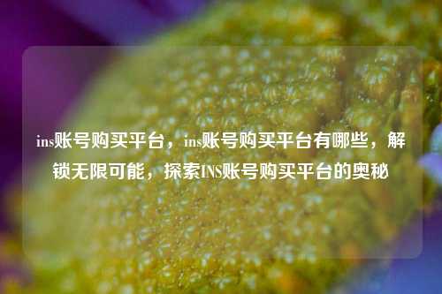 ins账号购买平台，ins账号购买平台有哪些，解锁无限可能，探索INS账号购买平台的奥秘
