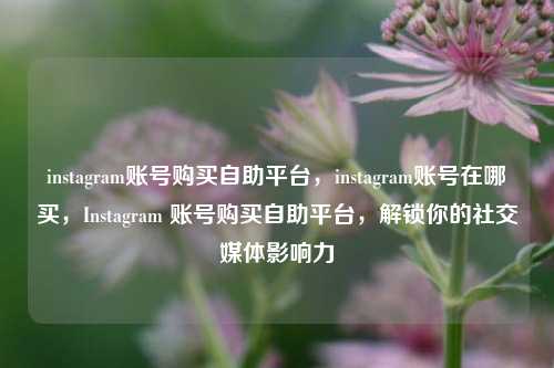 instagram账号购买自助平台，instagram账号在哪买，Instagram 账号购买自助平台，解锁你的社交媒体影响力