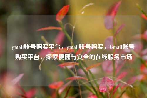 gmail账号购买平台，gmail帐号购买，Gmail账号购买平台，探索便捷与安全的在线服务市场
