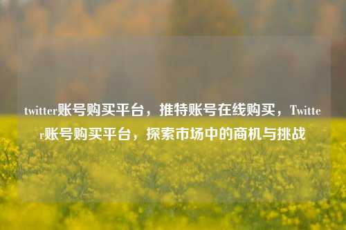 twitter账号购买平台，推特账号在线购买，Twitter账号购买平台，探索市场中的商机与挑战
