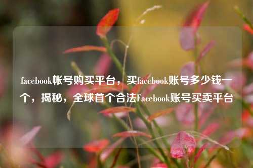 facebook帐号购买平台，买facebook账号多少钱一个，揭秘，全球首个合法Facebook账号买卖平台
