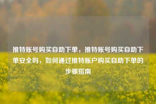 推特账号购买自助下单，推特账号购买自助下单安全吗，如何通过推特账户购买自助下单的步骤指南