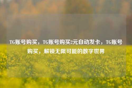 TG账号购买，TG账号购买2元自动发卡，TG账号购买，解锁无限可能的数字世界