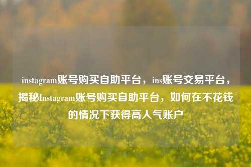 instagram账号购买自助平台，ins账号交易平台，揭秘Instagram账号购买自助平台，如何在不花钱的情况下获得高人气账户