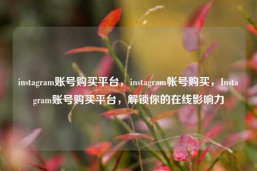 instagram账号购买平台，instagram帐号购买，Instagram账号购买平台，解锁你的在线影响力