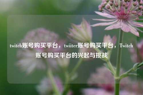 twitch账号购买平台	，twiiter账号购买平台，Twitch账号购买平台的兴起与挑战  第1张