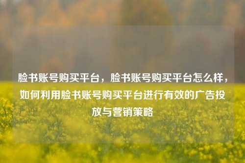 脸书账号购买平台，脸书账号购买平台怎么样，如何利用脸书账号购买平台进行有效的广告投放与营销策略